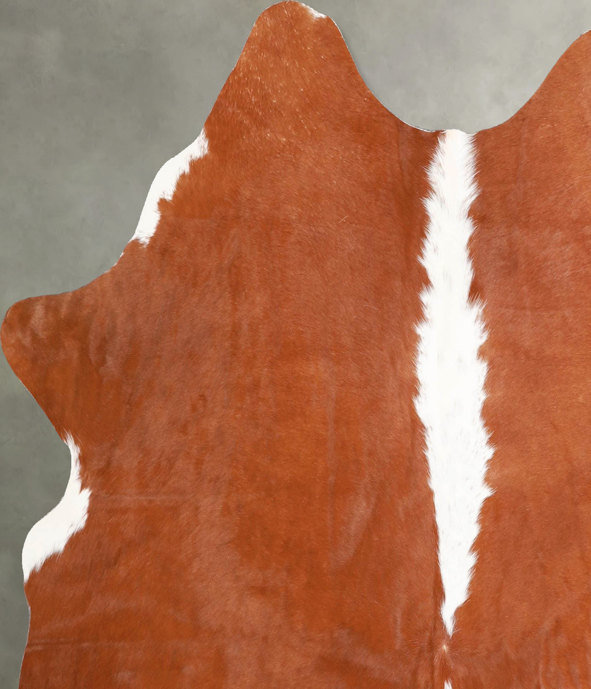 Hereford Medium Brazilian Cowhide Rug 5'4"H x 5'2"W #A56079 by Hudson Hides