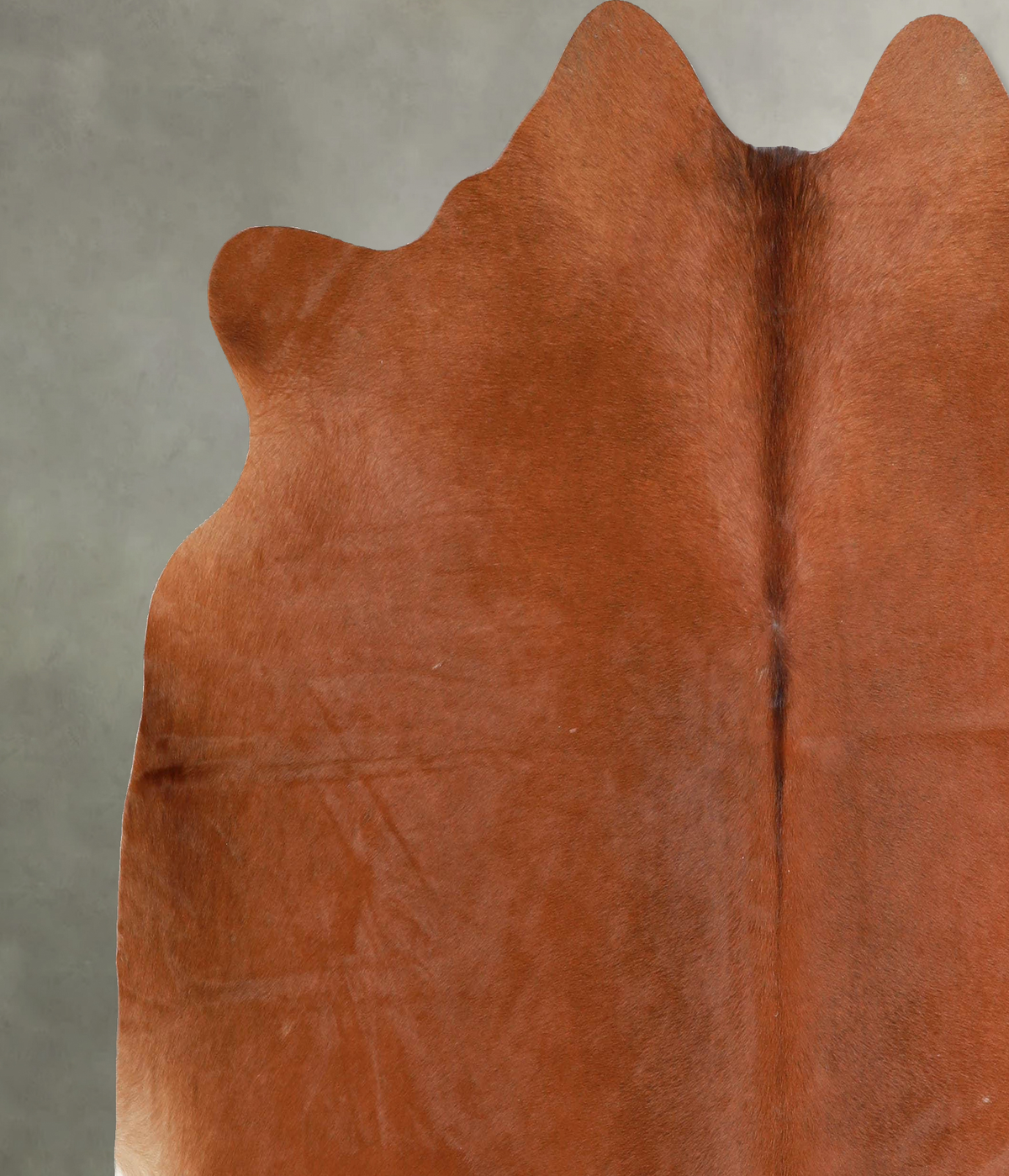 Solid Brown Large Brazilian Cowhide Rug 6'0"H x 6'7"W #A56080 by Hudson Hides