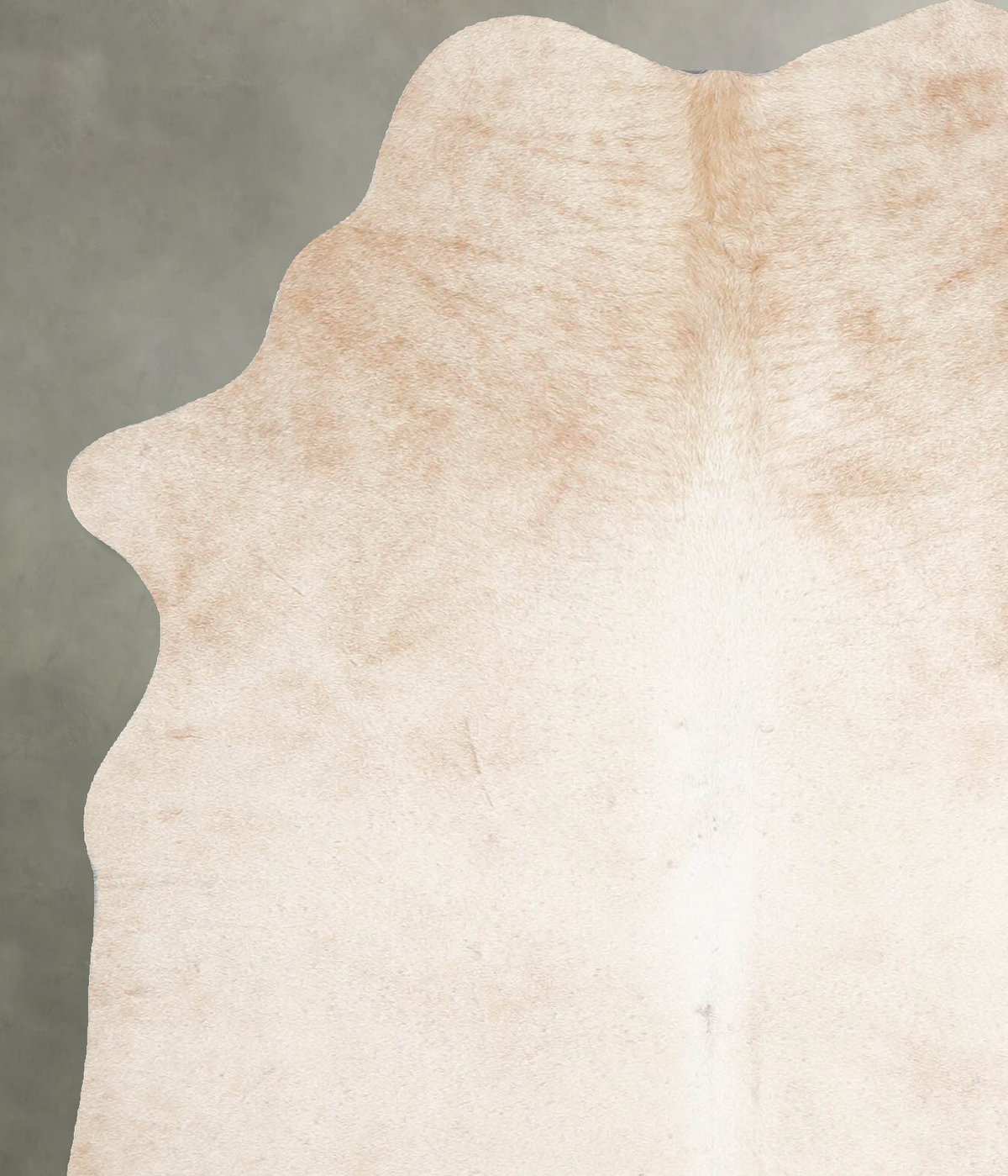 Champagne Medium Brazilian Cowhide Rug 5'5"H x 4'1"W #A56083 by Hudson Hides