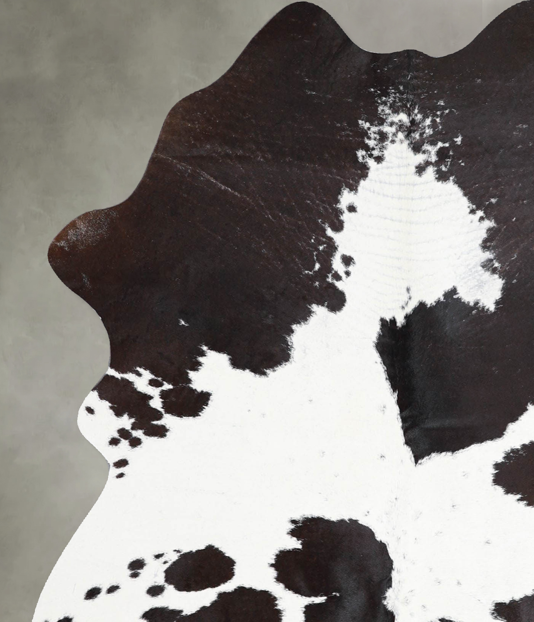 Chocolate and White Cowhide Rug #A56085