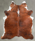 Medium Brindle Large Brazilian Cowhide Rug 6'9"H x 5'8"W #A56094 by Hudson Hides