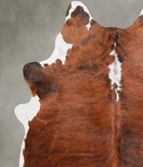 Medium Brindle Large Brazilian Cowhide Rug 6'9"H x 5'8"W #A56094 by Hudson Hides