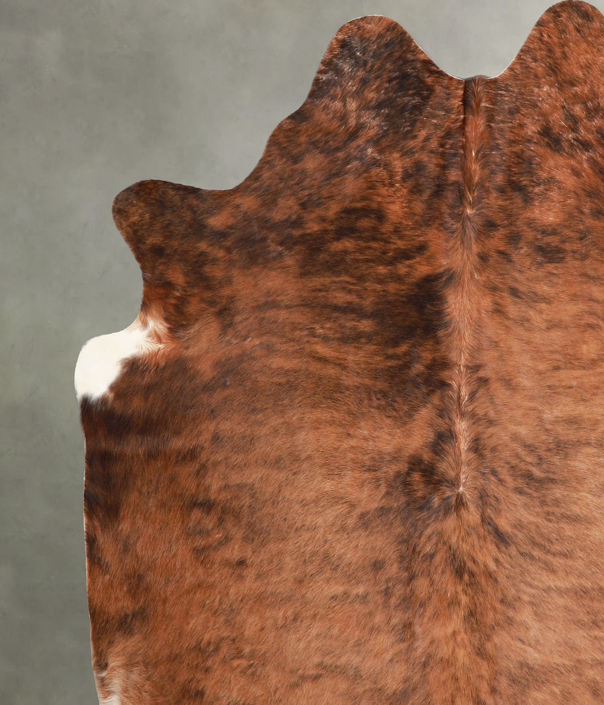 Medium Brindle X-Large Brazilian Cowhide Rug 7'1"H x 6'6"W #A56108 by Hudson Hides