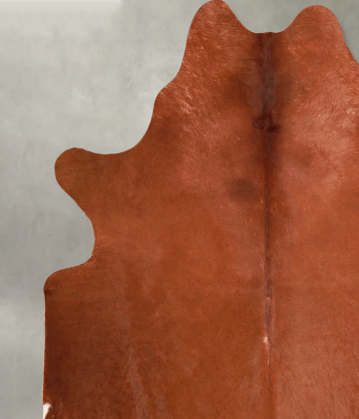 Solid Brown X-Large Brazilian Cowhide Rug 6'11"H x 6'1"W #A56110 by Hudson Hides