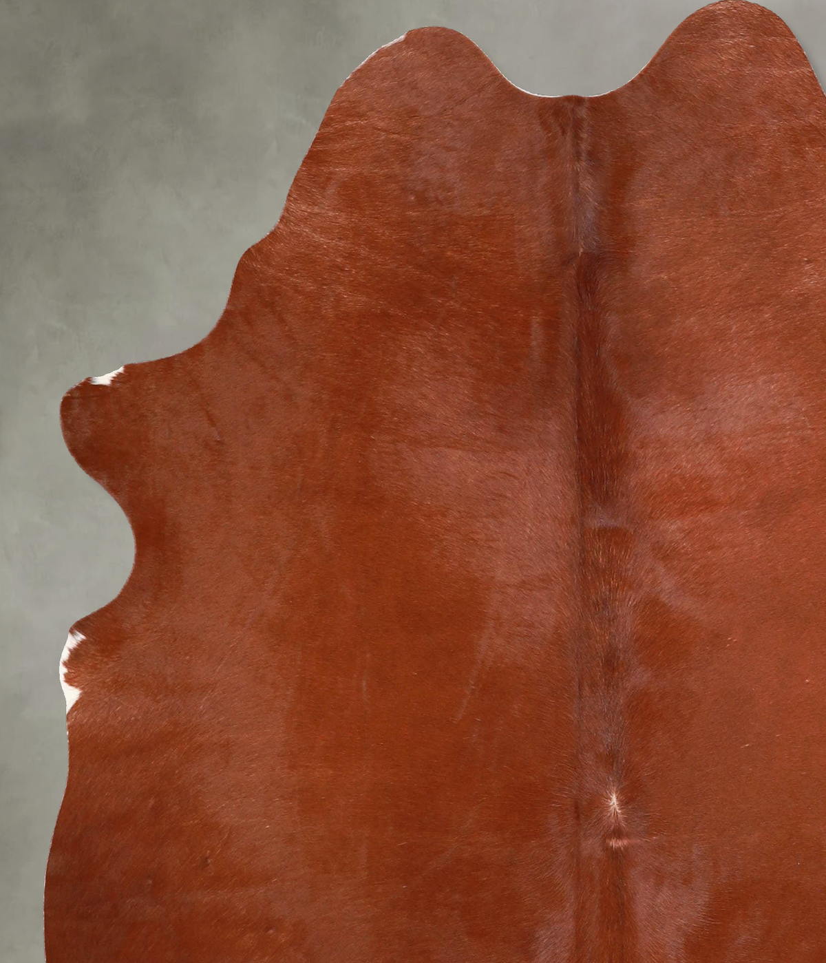 Solid Brown Large Brazilian Cowhide Rug 6'1"H x 5'1"W #A56115 by Hudson Hides