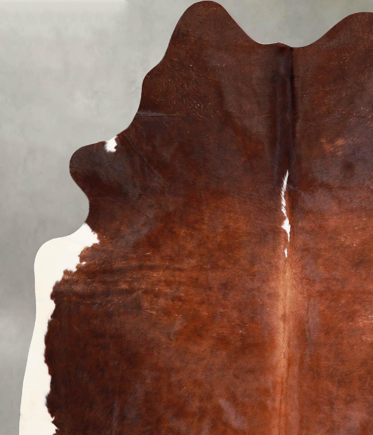 Warm Caramel X-Large Brazilian Cowhide Rug 7'4"H x 5'6"W #A56118 by Hudson Hides