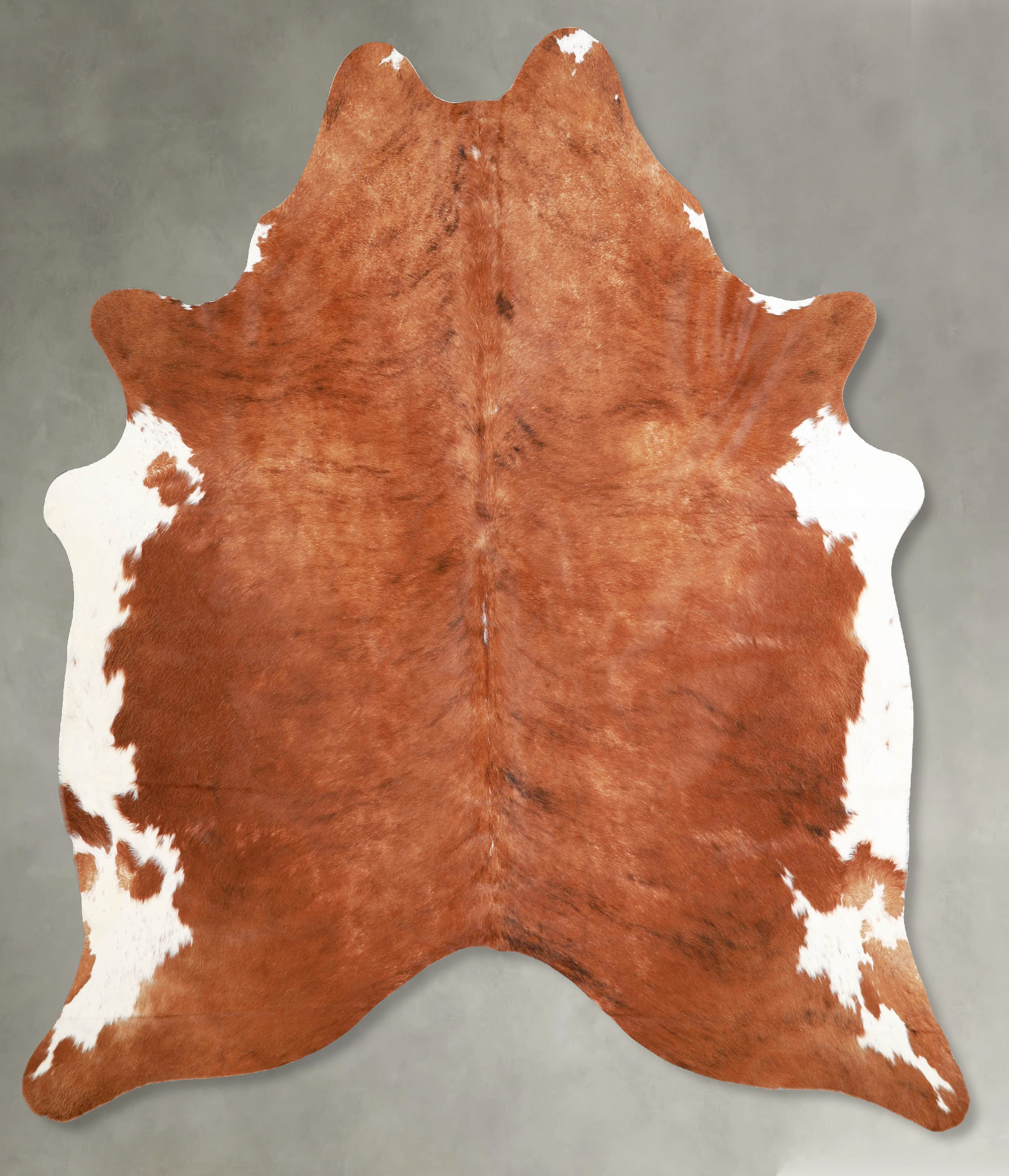 Brown and White Regular Cowhide Rug #A56122
