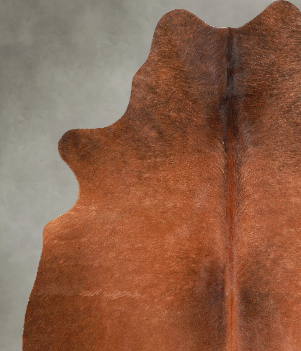 Solid Brown Large Brazilian Cowhide Rug 6'2"H x 5'4"W #A56123 by Hudson Hides