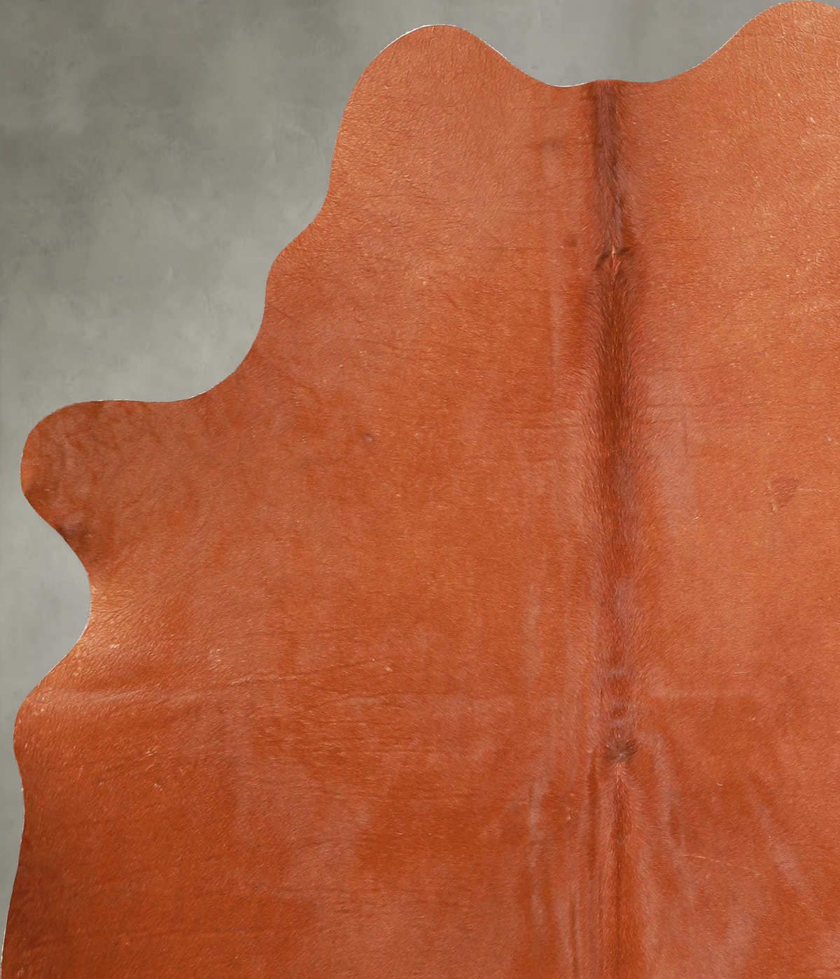 Solid Brown Large Brazilian Cowhide Rug 6'3"H x 5'1"W #A56125 by Hudson Hides