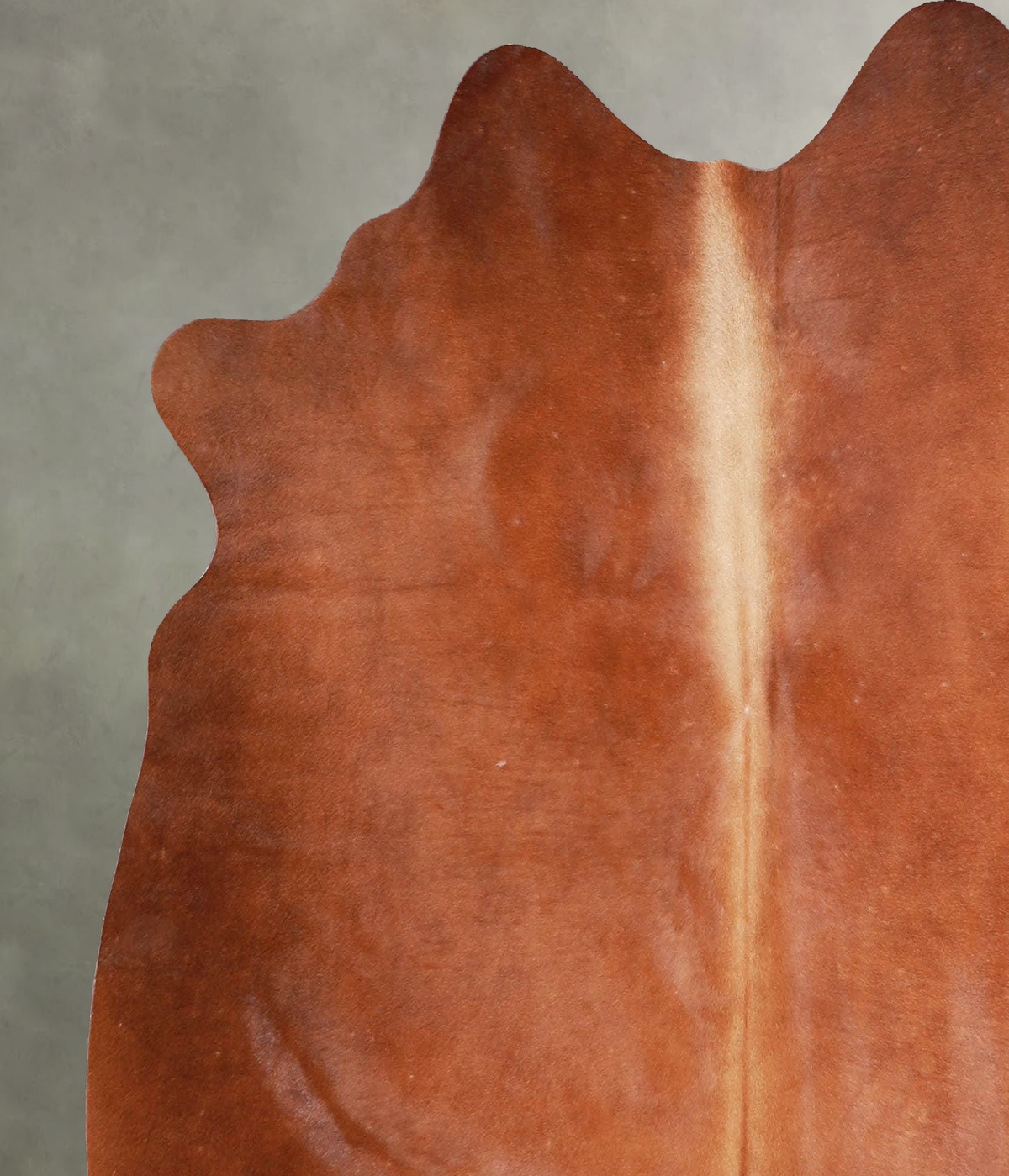 Solid Brown Medium Brazilian Cowhide Rug 5'2"H x 5'2"W #A56131 by Hudson Hides