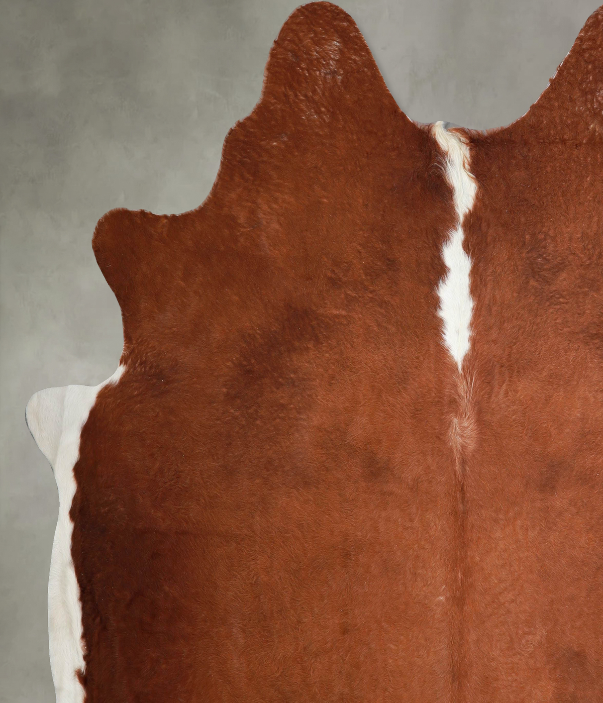 Brown and White Regular XX-Large Brazilian Cowhide Rug 7'5"H x 7'3"W #A56133 by Hudson Hides