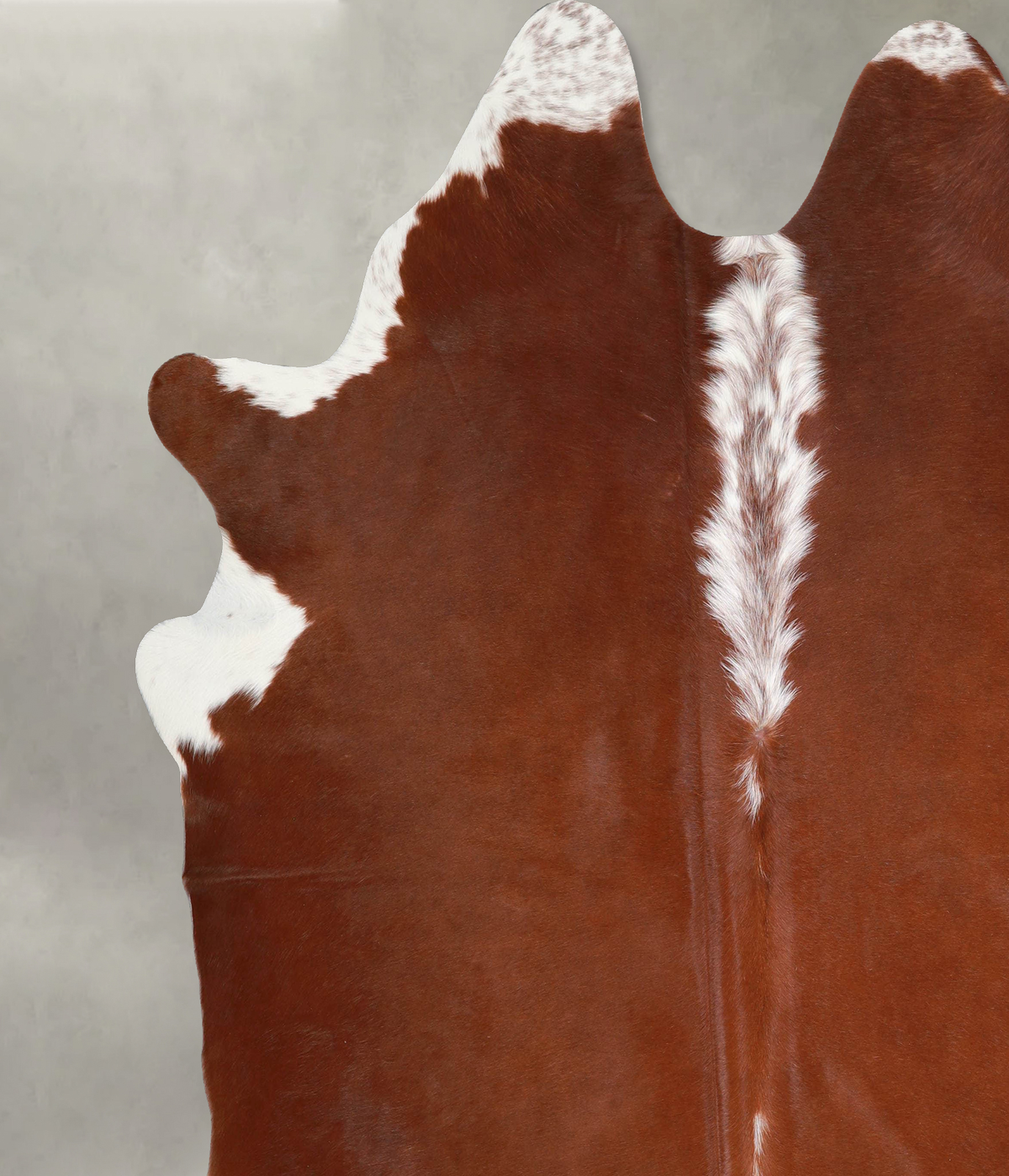 Brown and White Regular XX-Large Brazilian Cowhide Rug 7'9"H x 7'3"W #A56134 by Hudson Hides