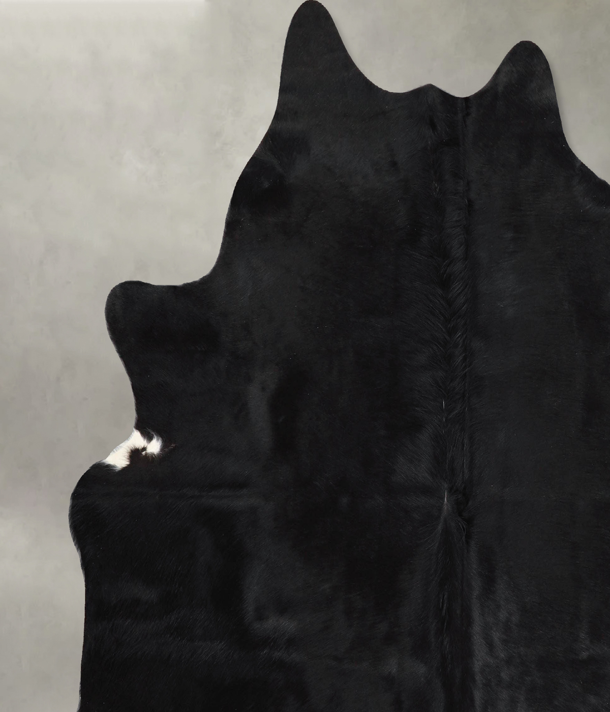 Solid Black Large Brazilian Cowhide Rug 6'5"H x 6'0"W #A56139 by Hudson Hides