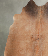 Warm Caramel Medium Brazilian Cowhide Rug 5'4"H x 5'6"W #A56142 by Hudson Hides