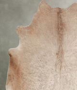 Champagne Large Brazilian Cowhide Rug 6'7"H x 6'0"W #A56162 by Hudson Hides