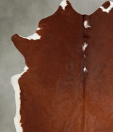 Brown and White Regular XX-Large Brazilian Cowhide Rug 8'2"H x 7'2"W #A56193 by Hudson Hides