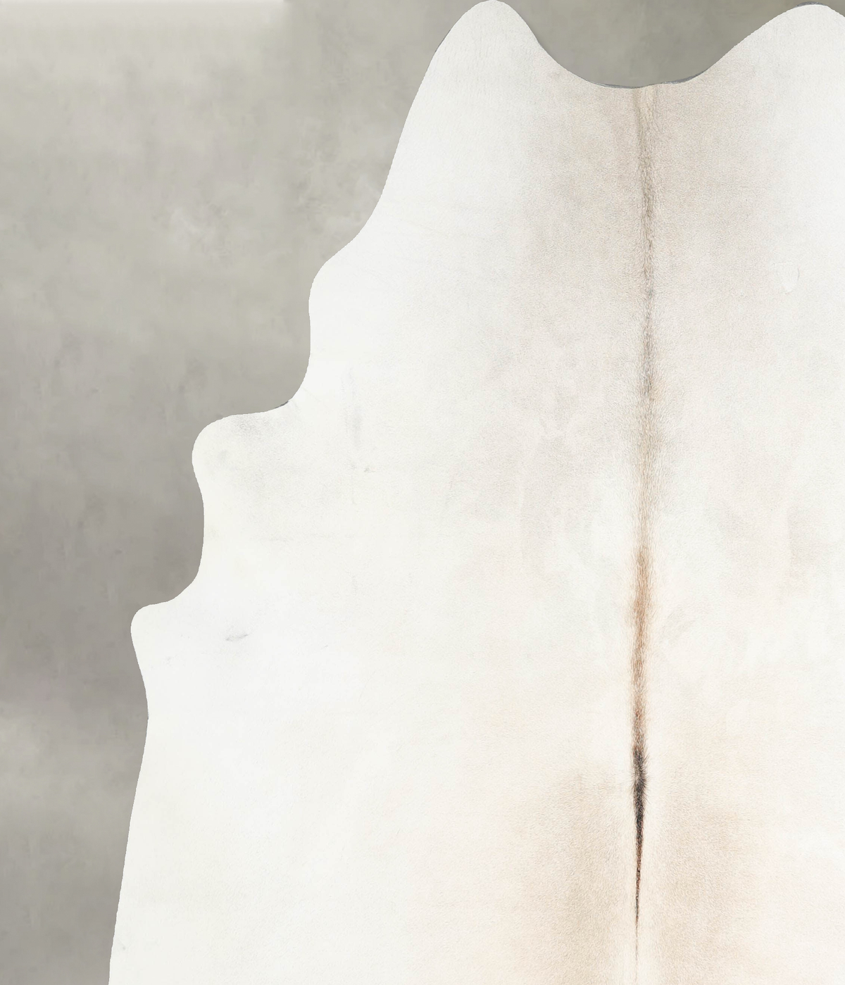 Ivory with Beige XX-Large Brazilian Cowhide Rug 7'10"H x 7'0"W #A56202 by Hudson Hides