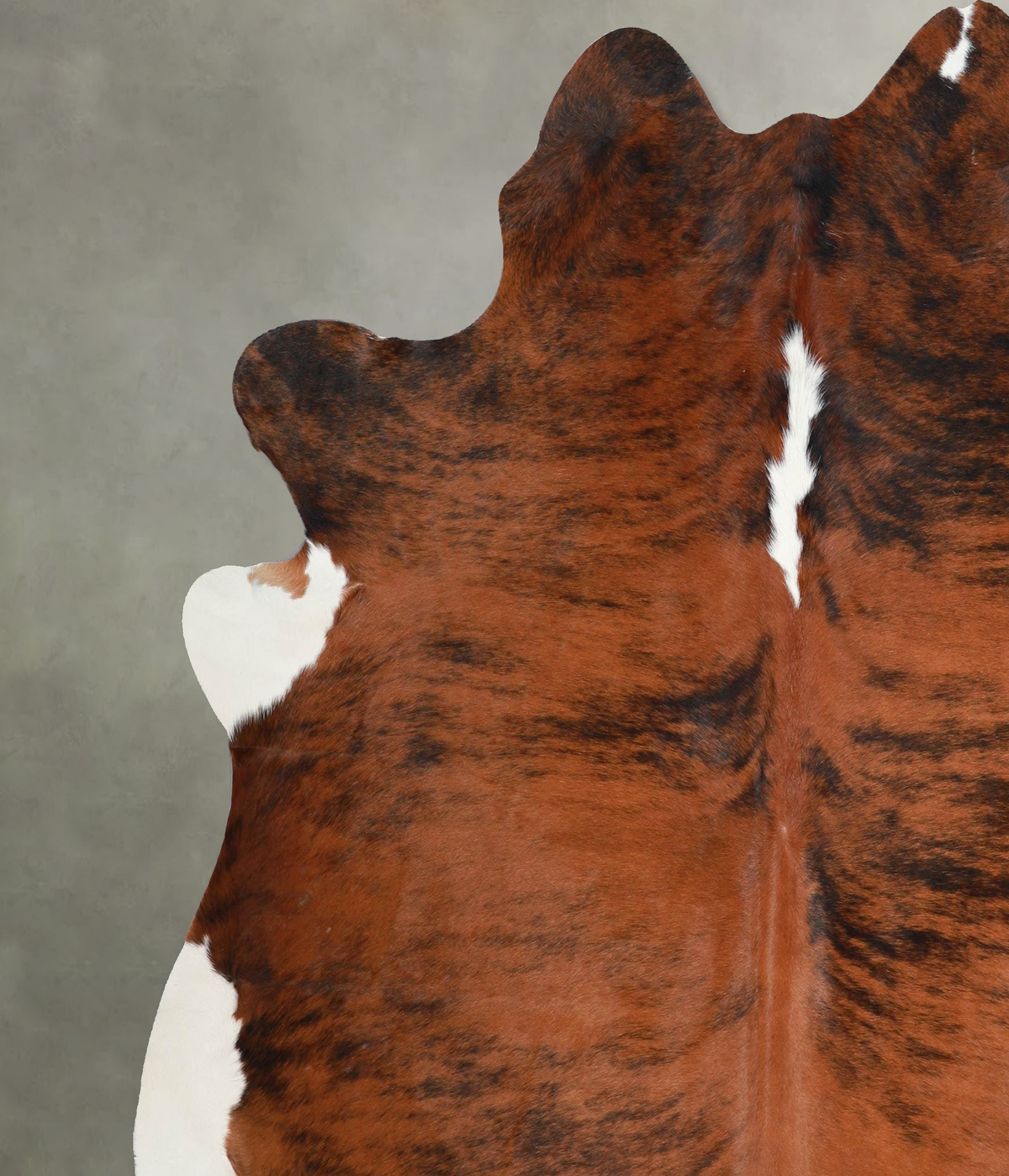 Tricolor X-Large Brazilian Cowhide Rug 7'1"H x 6'9"W #A56234 by Hudson Hides
