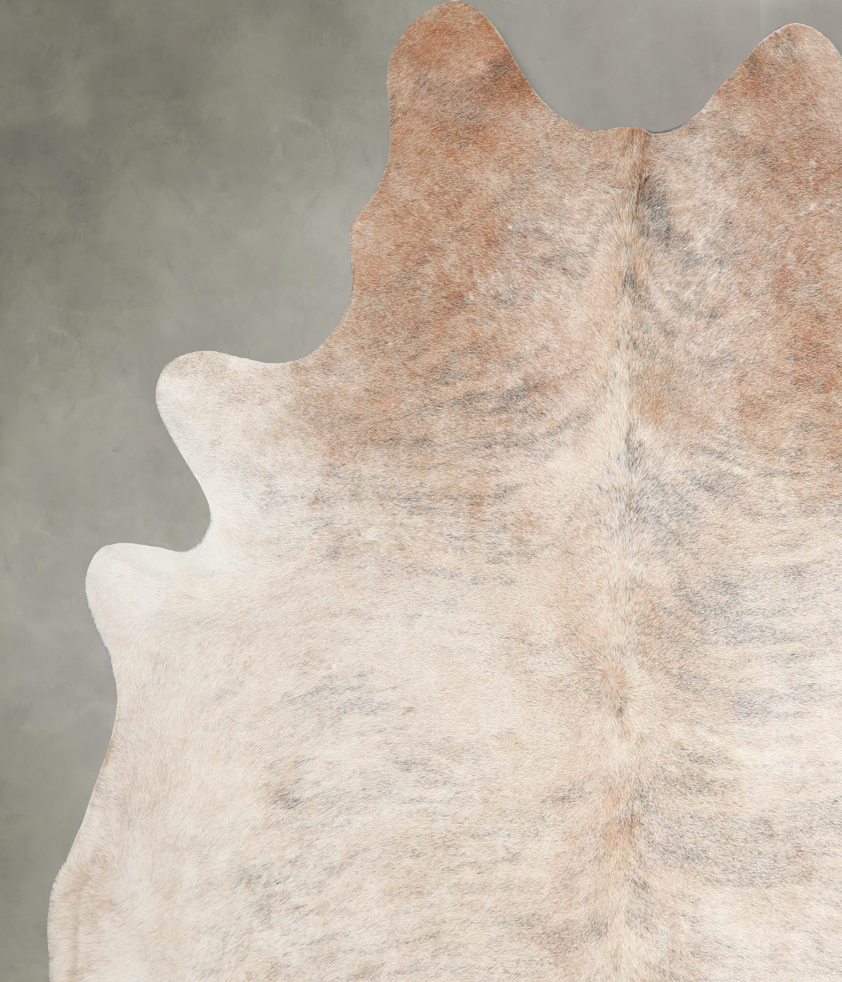 Light Brindle XX-Large Brazilian Cowhide Rug 8'2"H x 7'2"W #A56249 by Hudson Hides