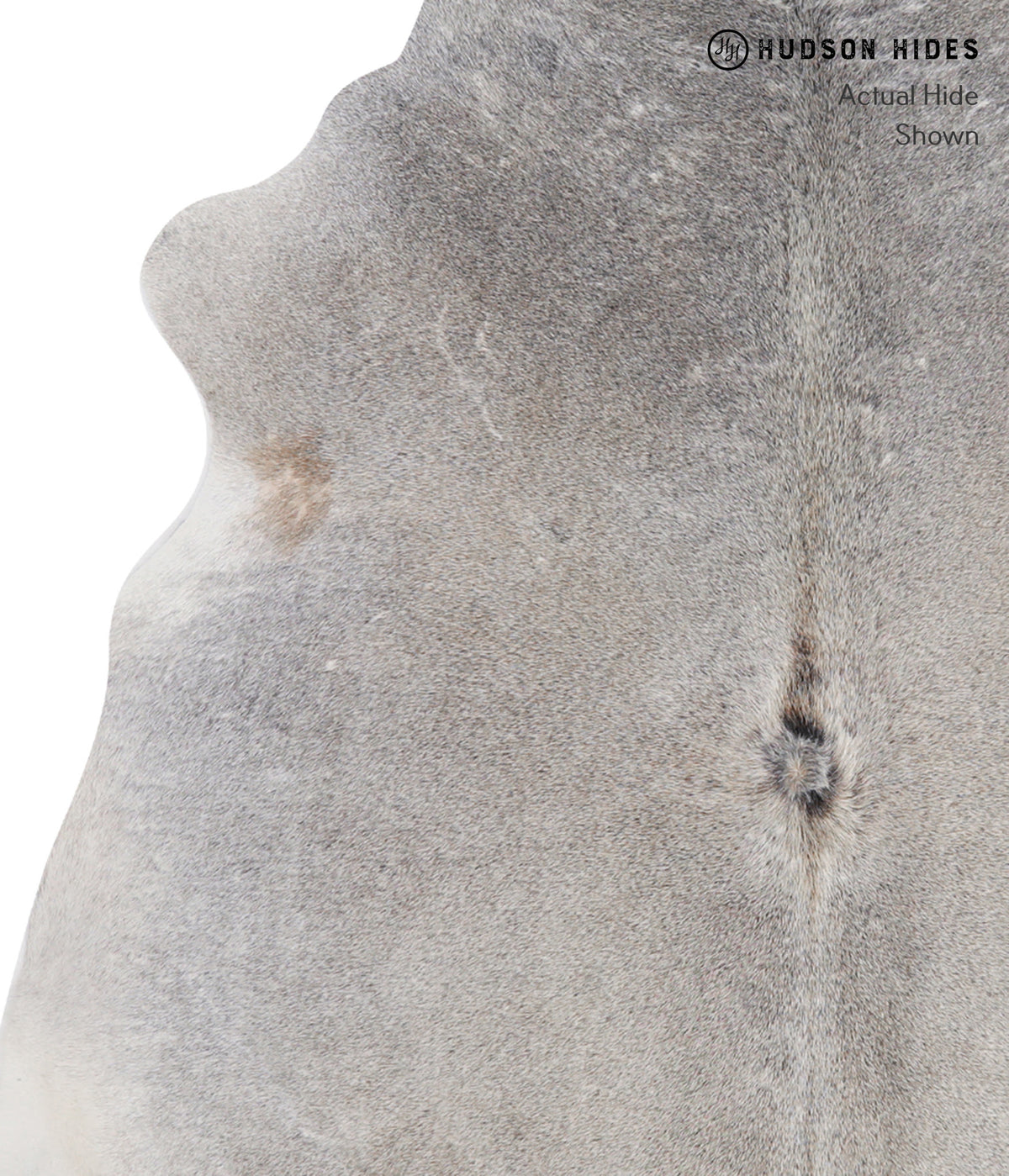 Medium Grey Large Brazilian Cowhide Rug 6'1"H x 6'3"W #A5712 by Hudson Hides