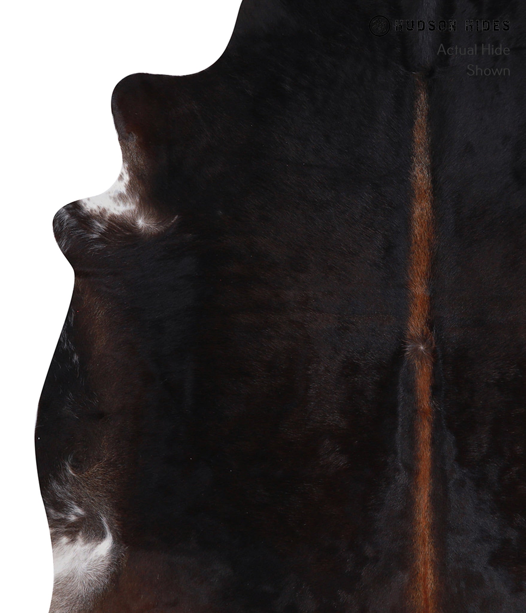 Chocolate Cowhide Rug #A5794