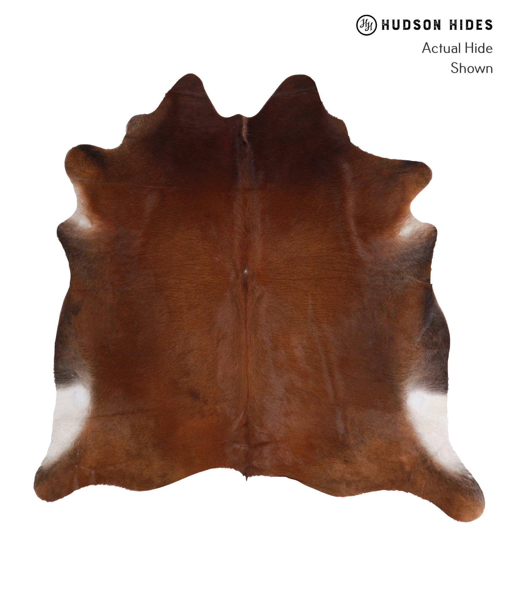 Brown with Red Cowhide Rug #A6094