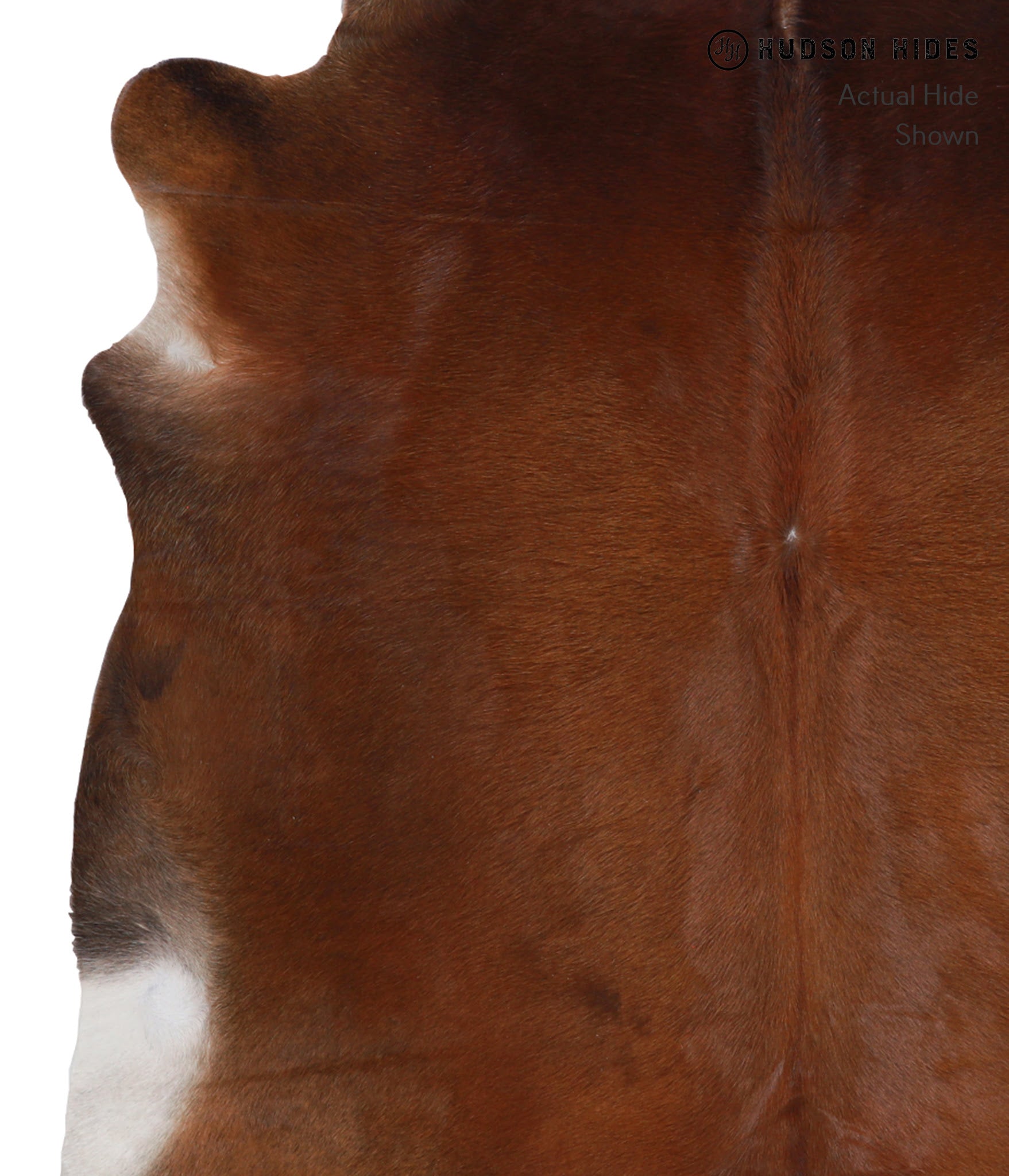 Brown with Red Cowhide Rug #A6094