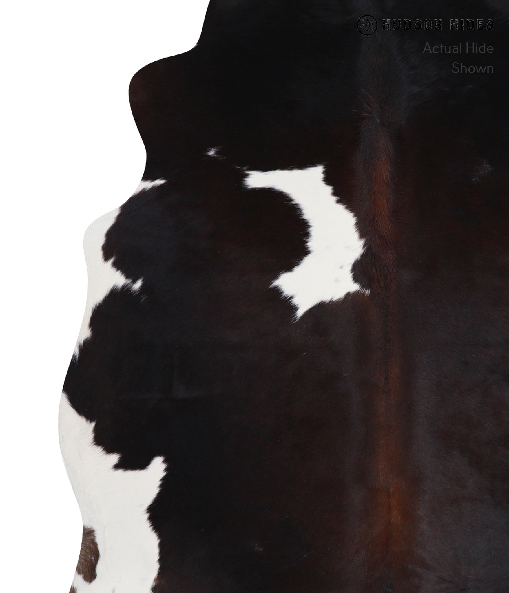 Chocolate and White Cowhide Rug #A6436