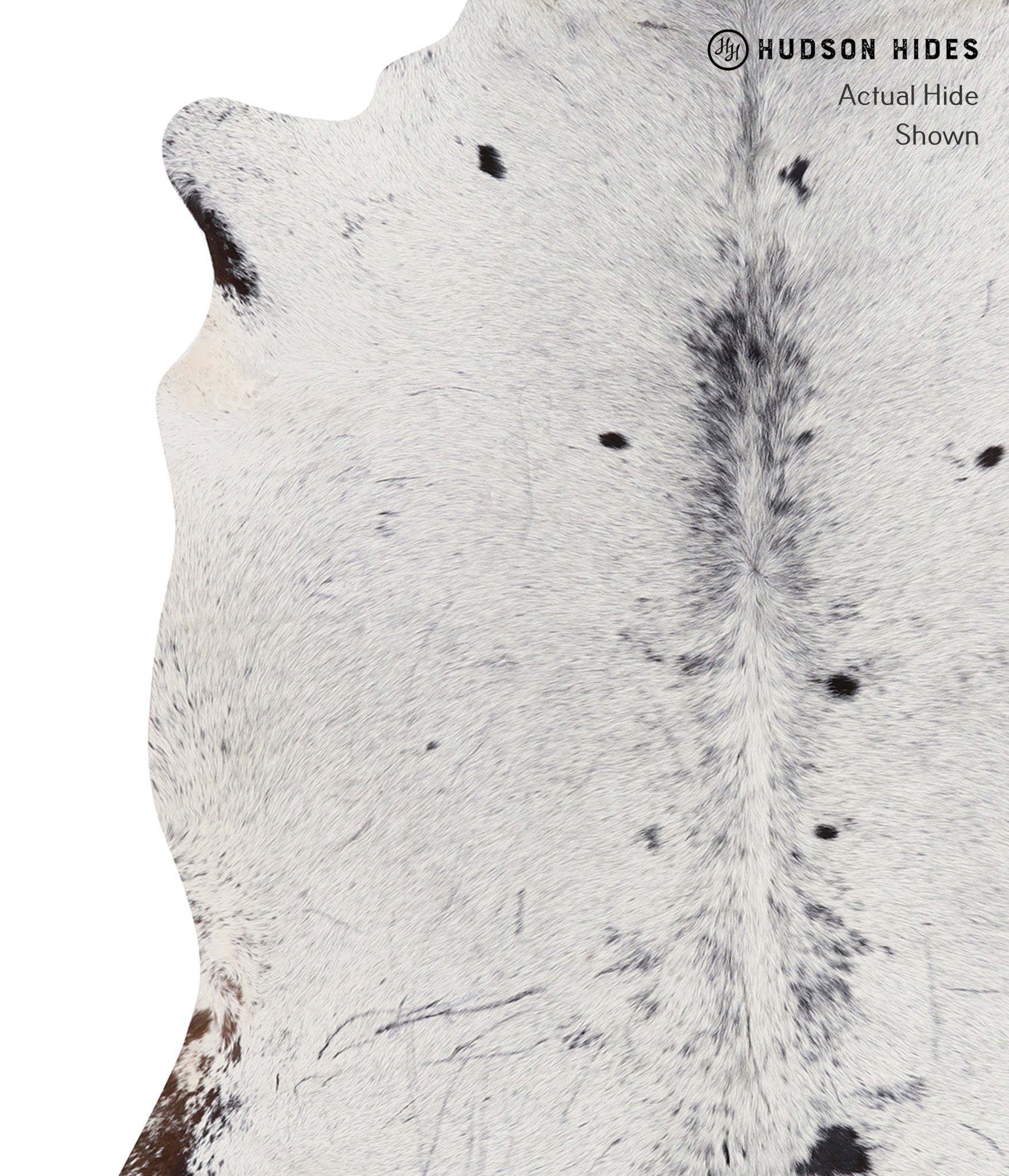 Salt and Pepper Black Cowhide Rug #A6505