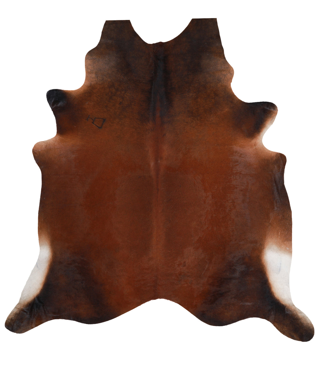 Warm Caramel XX-Large Brazilian Cowhide Rug 8'6"H x 8'0"W #A6612 by Hu