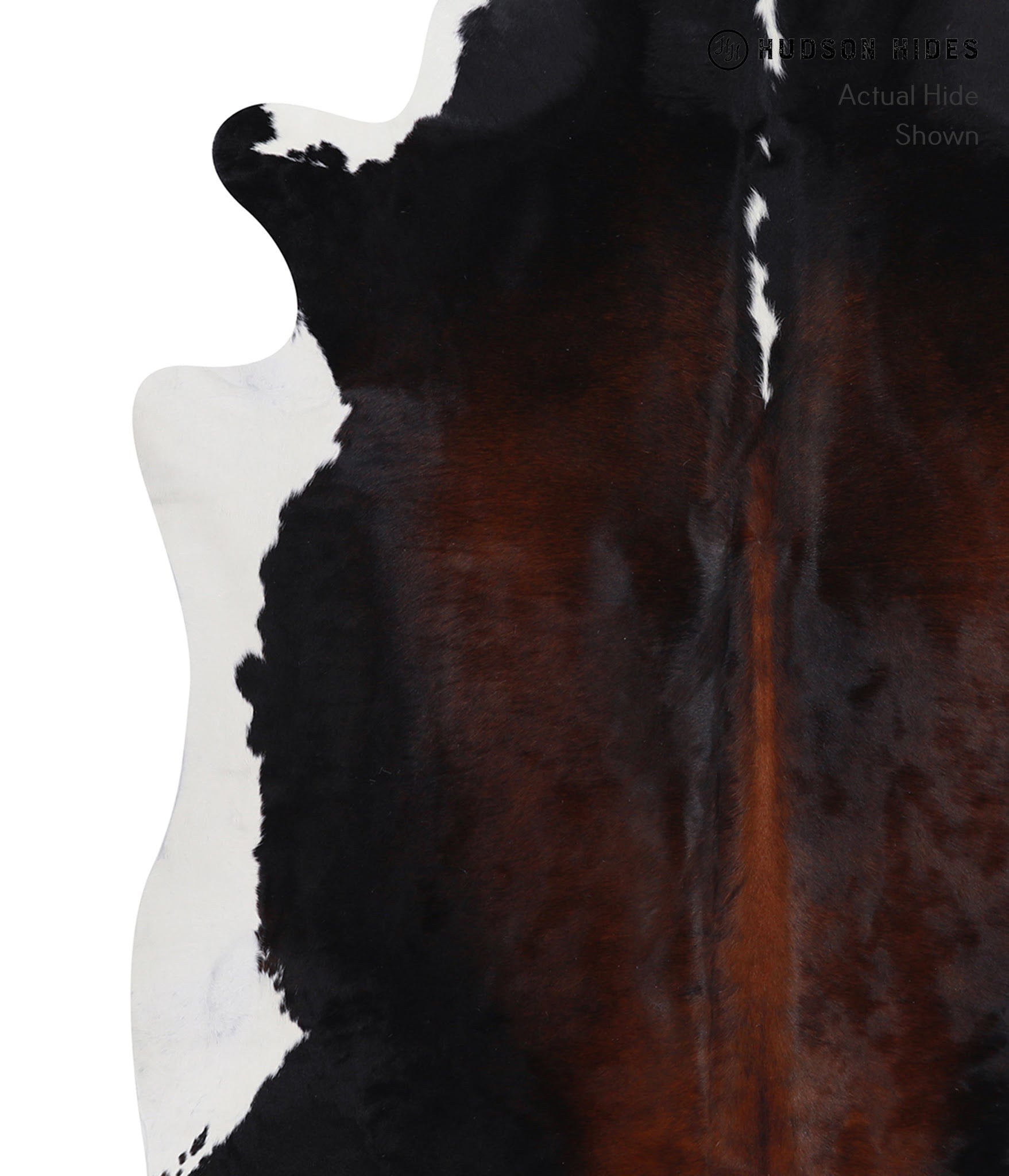Chocolate and White Cowhide Rug #A6672