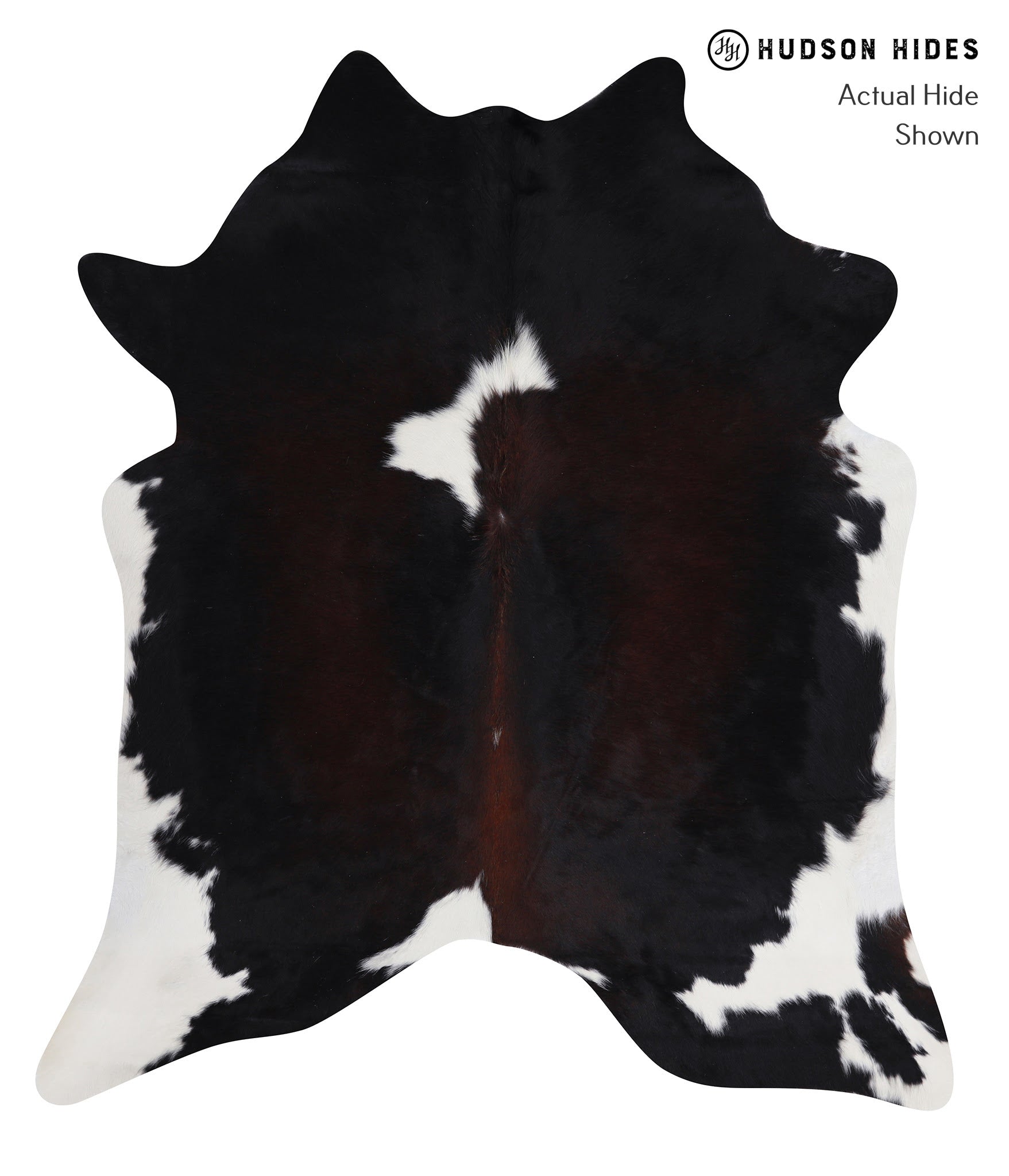 Chocolate and White Cowhide Rug #A6675