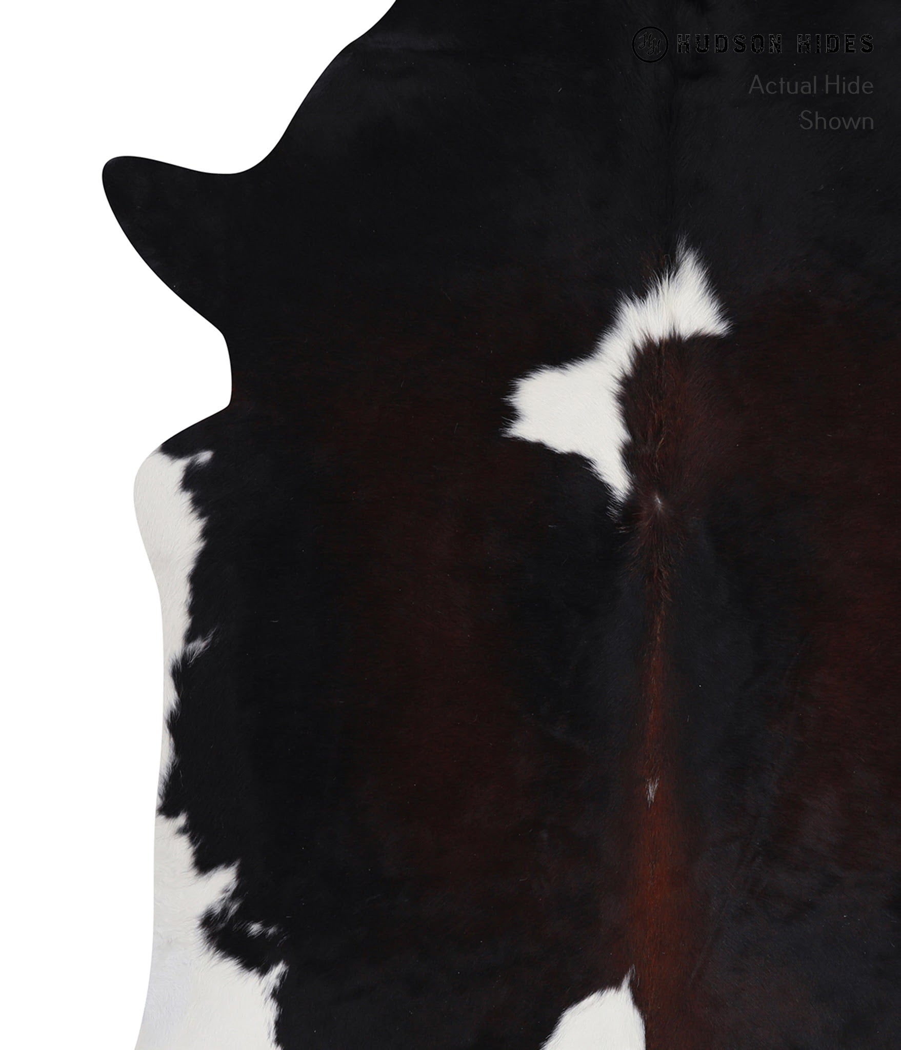 Chocolate and White Cowhide Rug #A6675