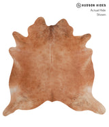 Solid Brown XX-Large Brazilian Cowhide Rug 7'1"H x 7'4"W #A6765 by Hudson Hides