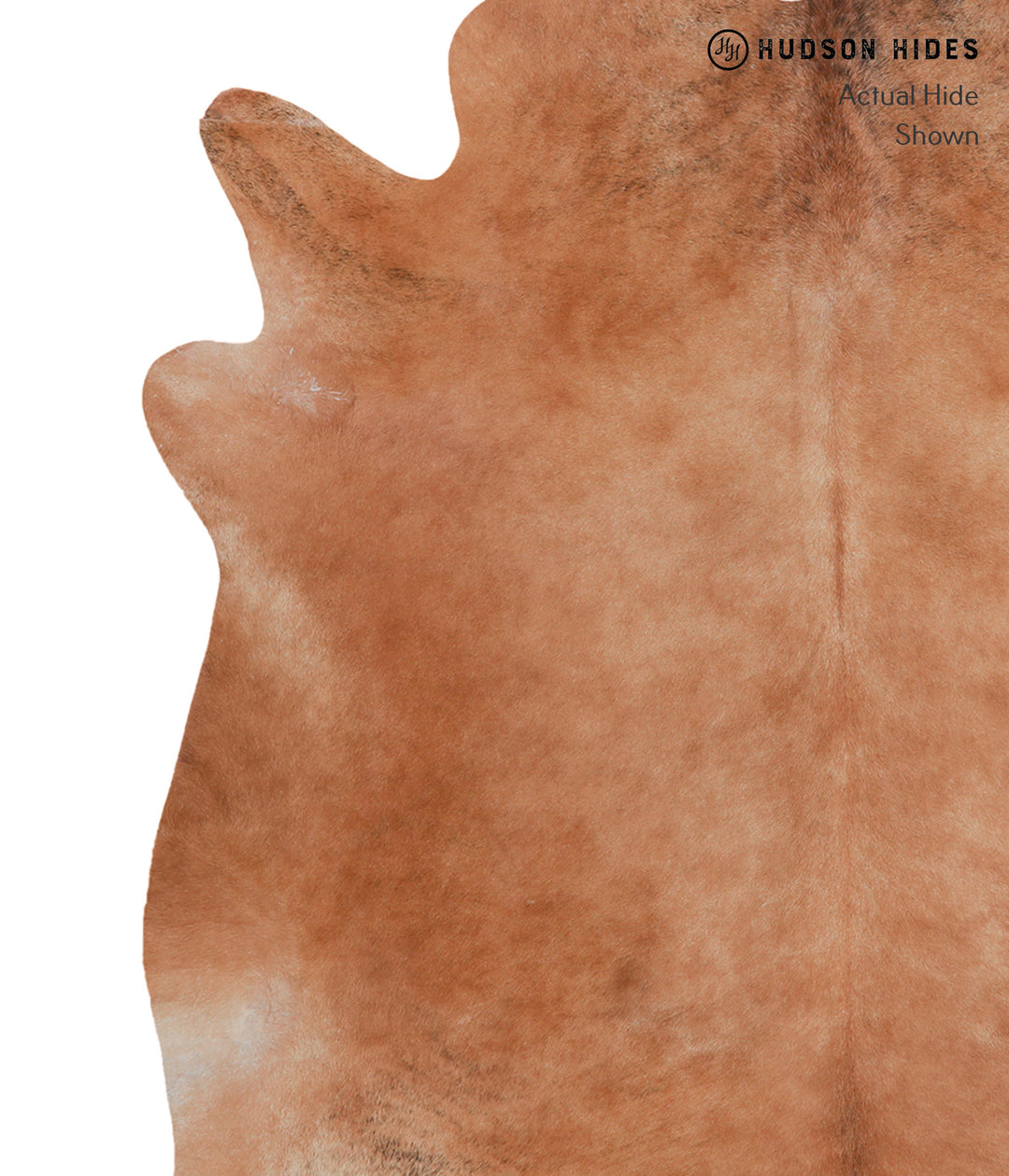 Solid Brown XX-Large Brazilian Cowhide Rug 7'1"H x 7'4"W #A6765 by Hud