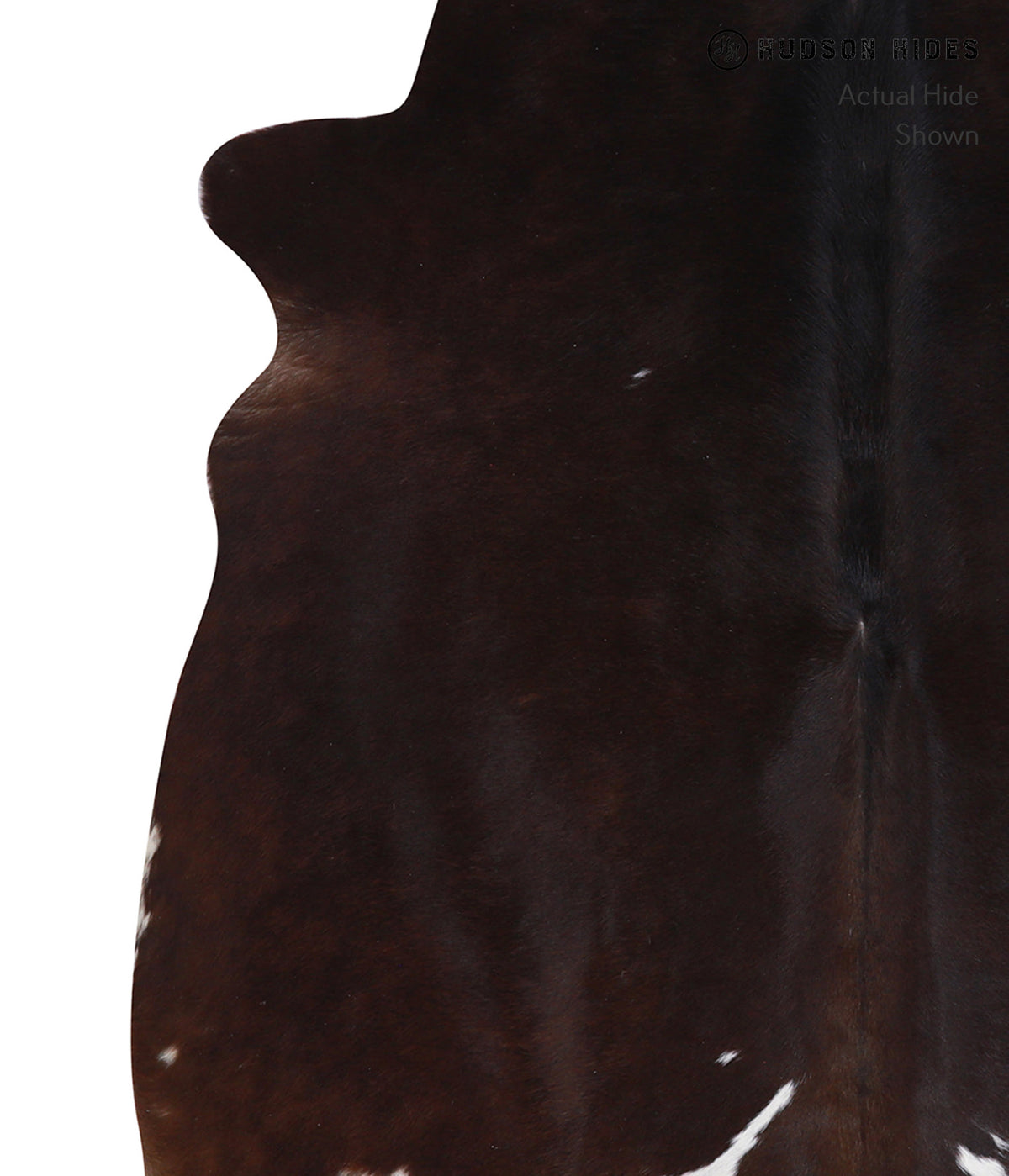 Chocolate and White Large Brazilian Cowhide Rug 6'7"H x 5'3"W #A6985 by Hudson Hides