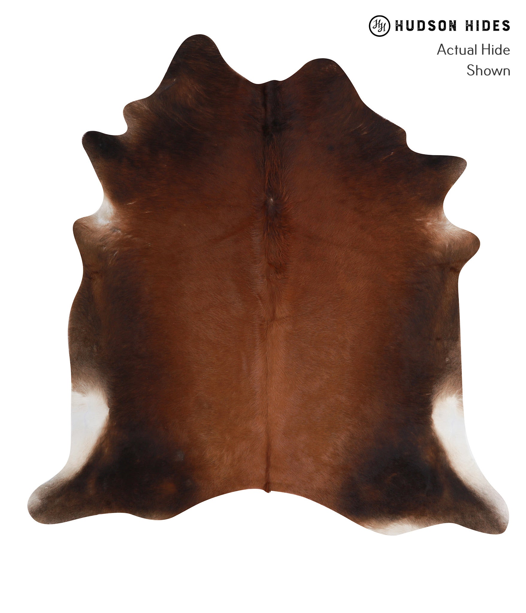 Brown with Red Cowhide Rug #A6987