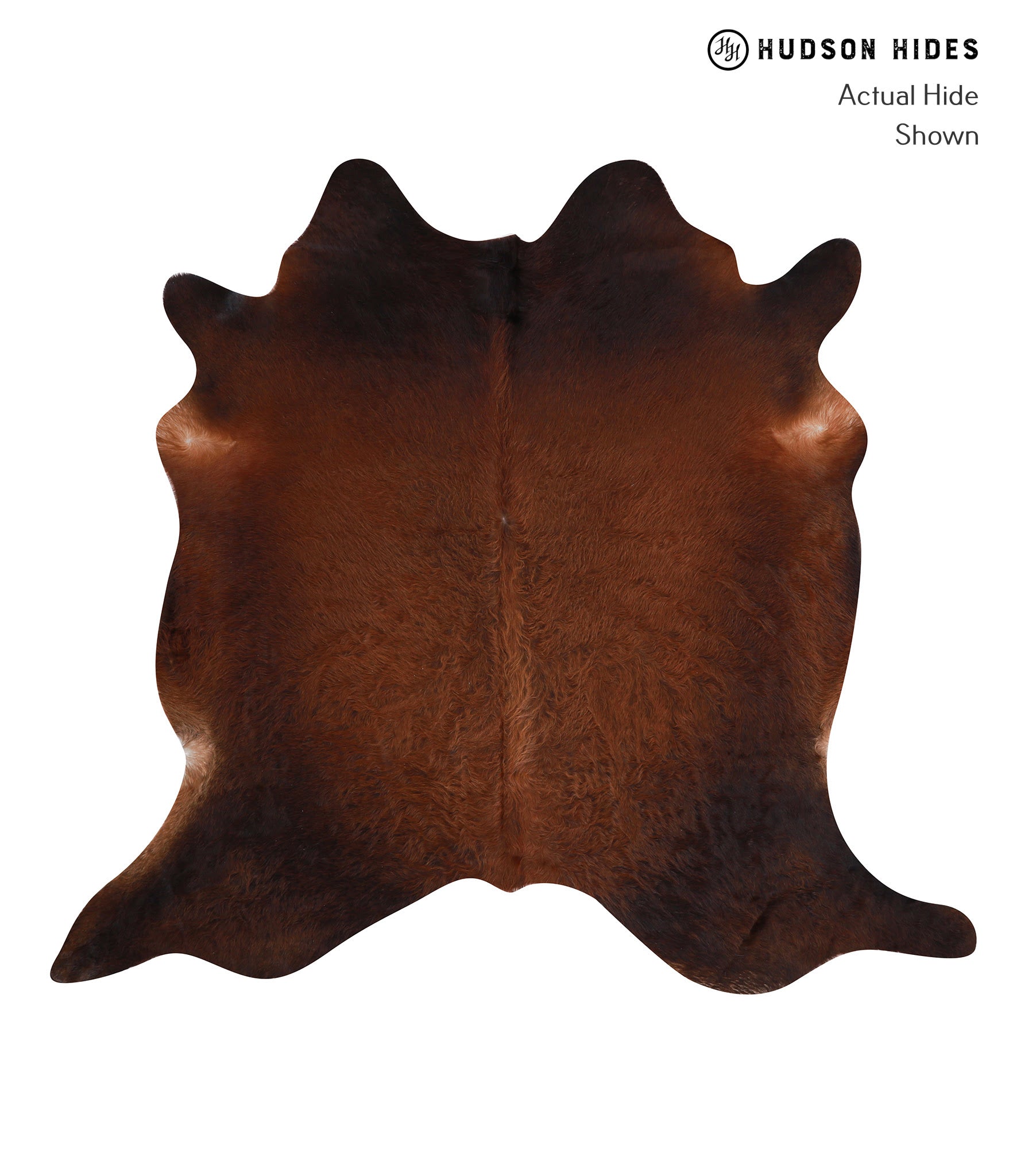 Brown with Red Cowhide Rug #A6989