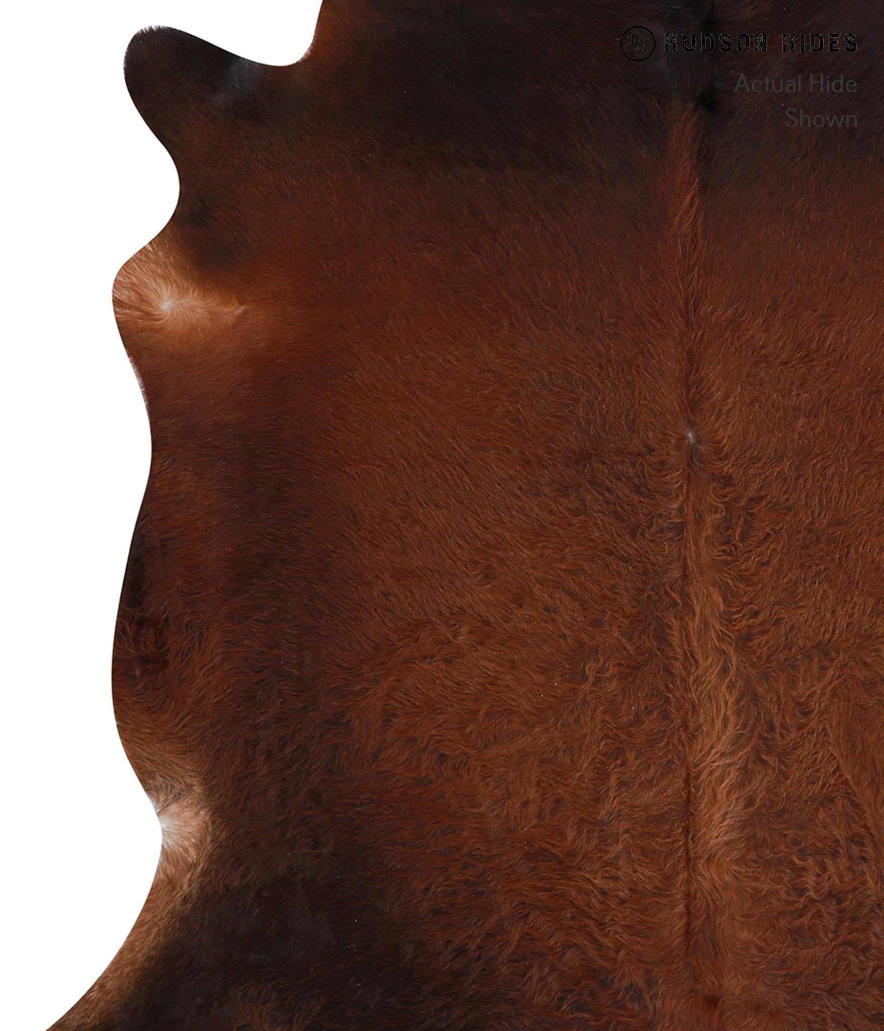 Brown with Red Cowhide Rug #A6989