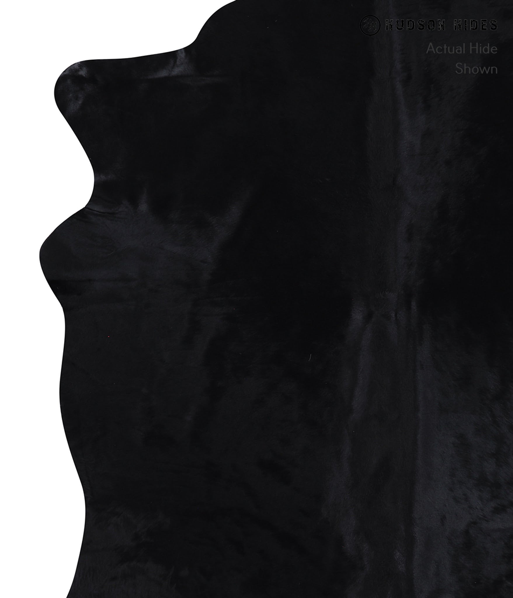 Dyed  Cowhide Rug #A7006