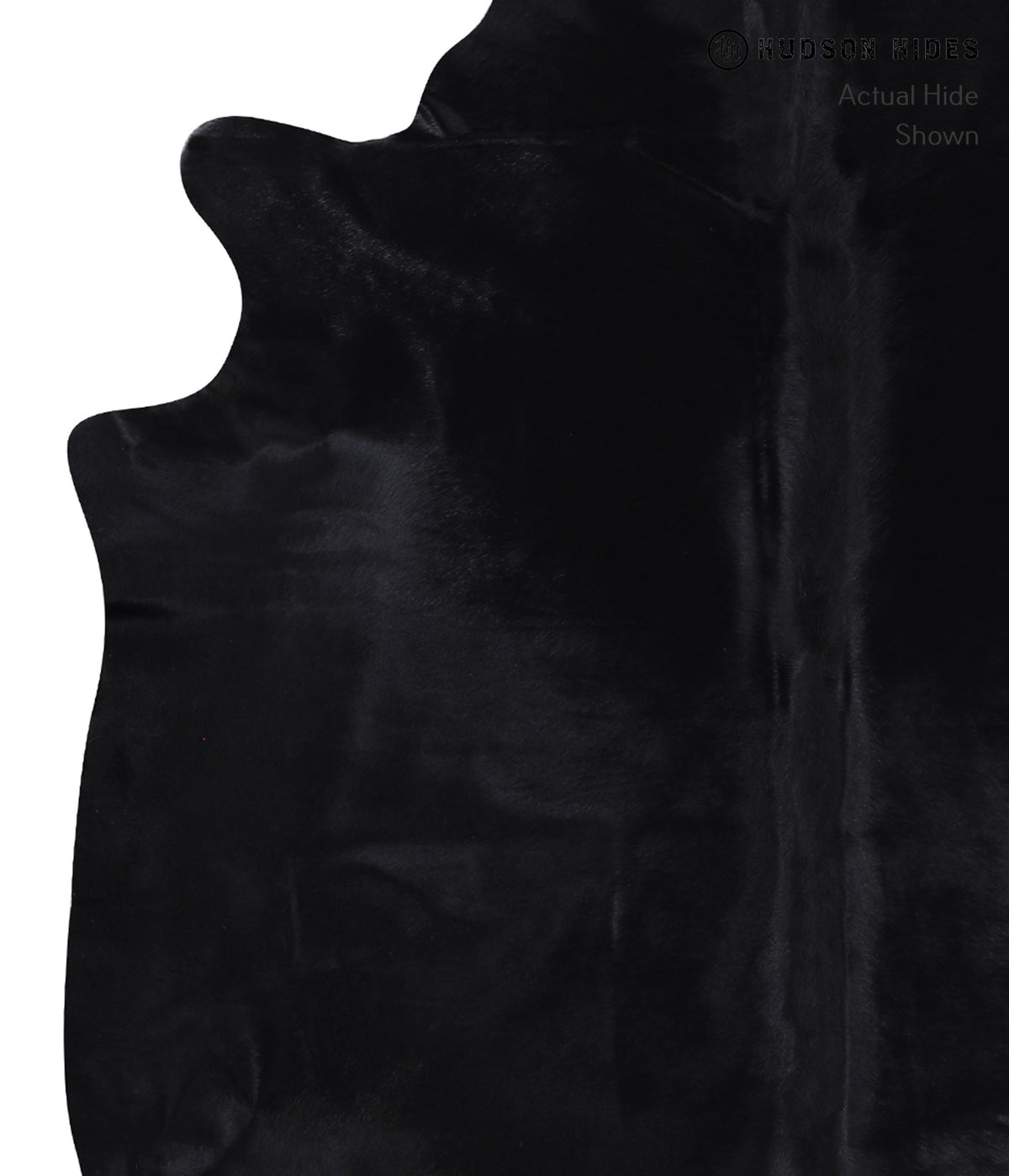 Dyed  X-Large Brazilian Cowhide Rug 7'6"H x 6'6"W #A7007 by Hudson Hides