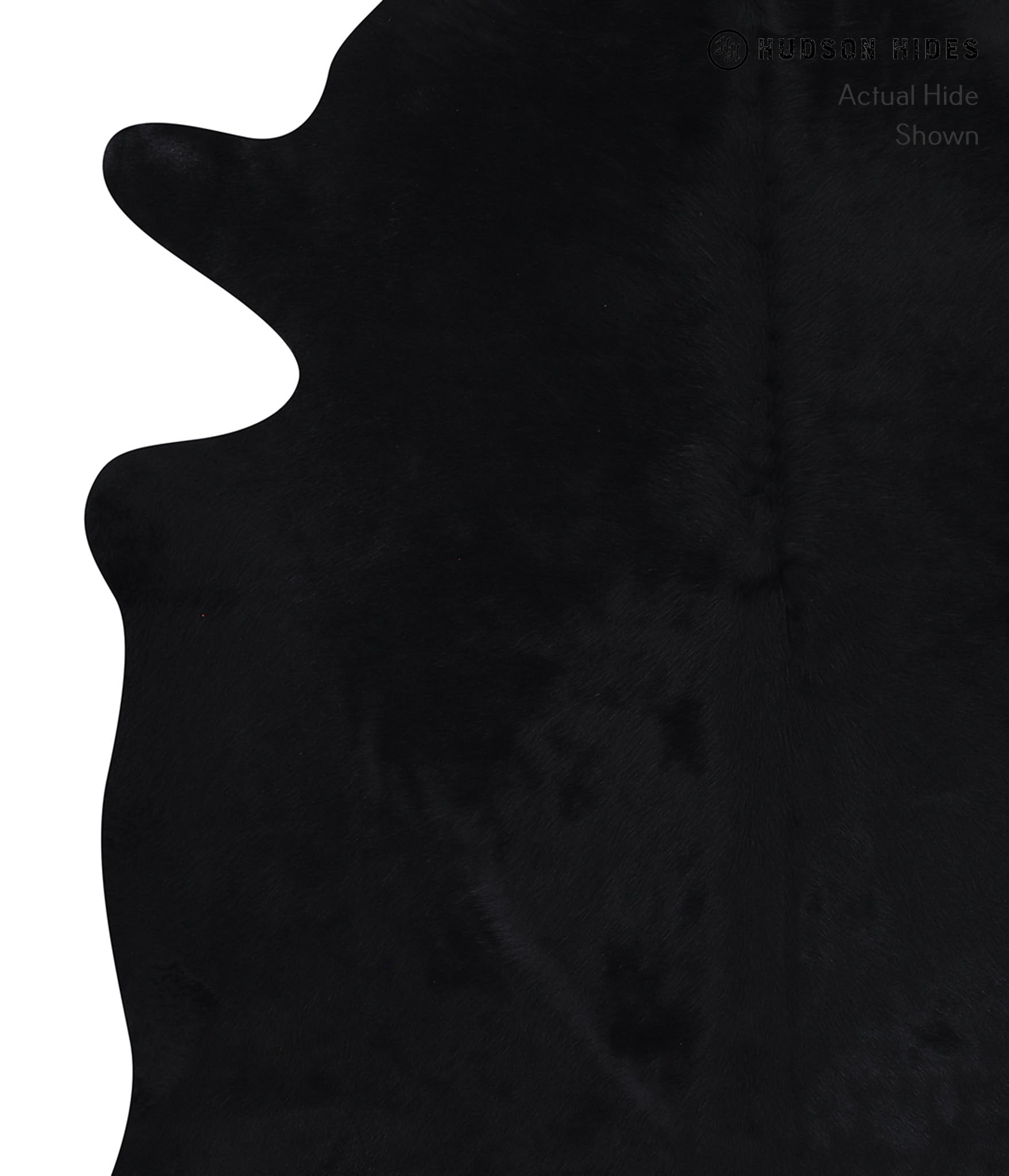 Dyed  Cowhide Rug #A7009