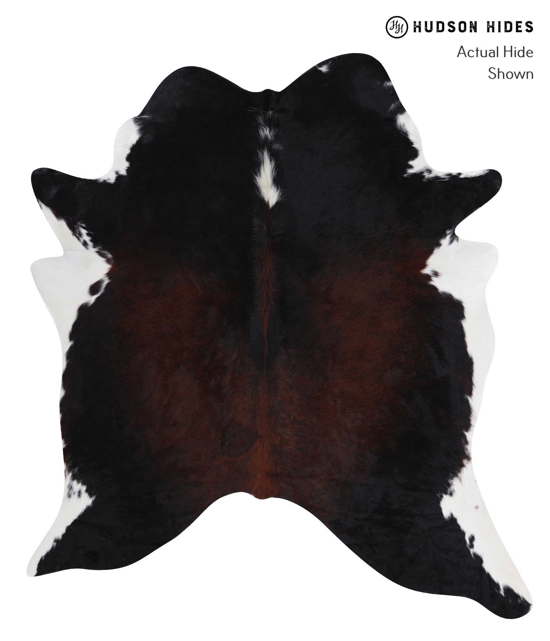 Chocolate and White Cowhide Rug #A7013