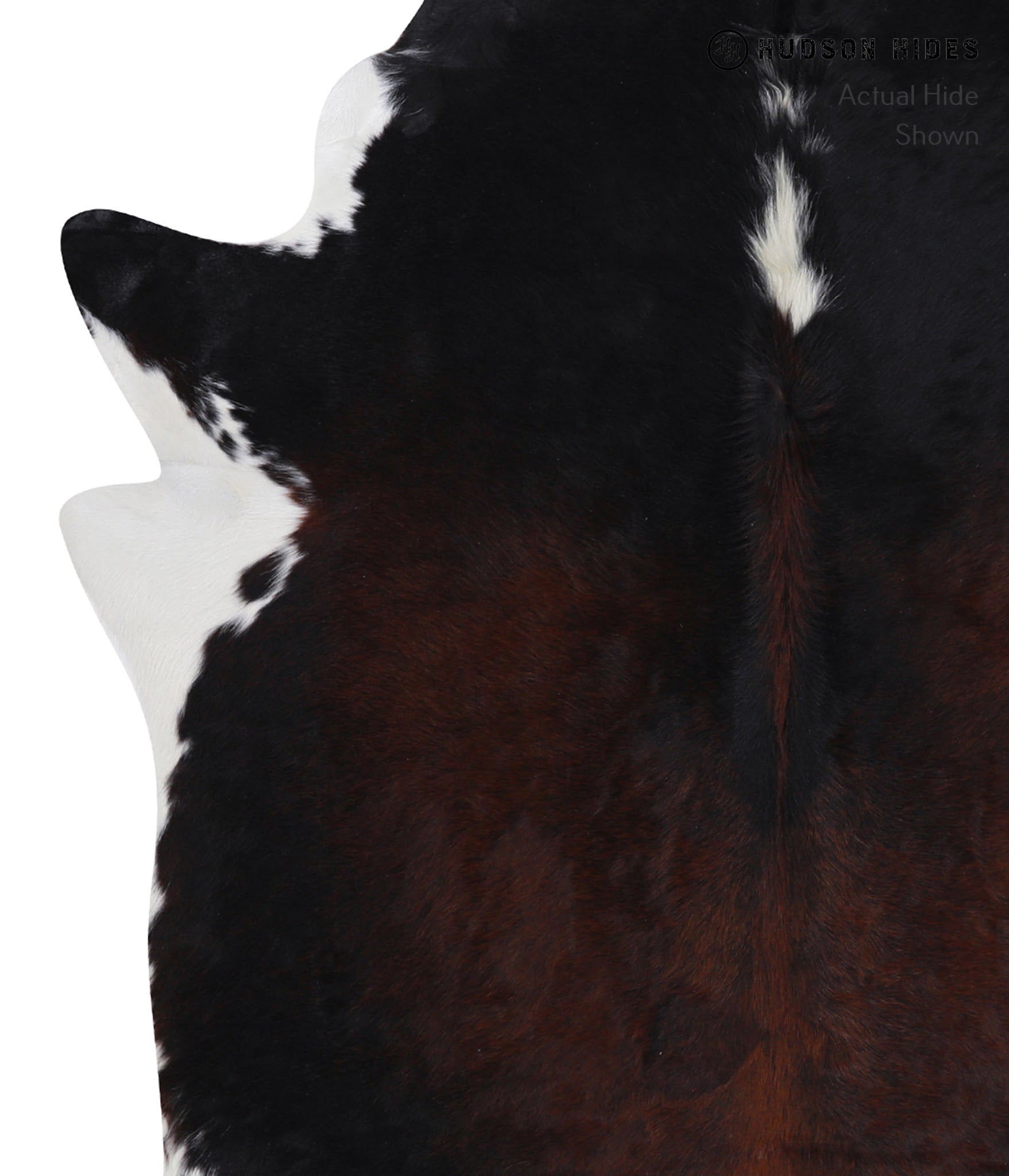 Chocolate and White Cowhide Rug #A7013