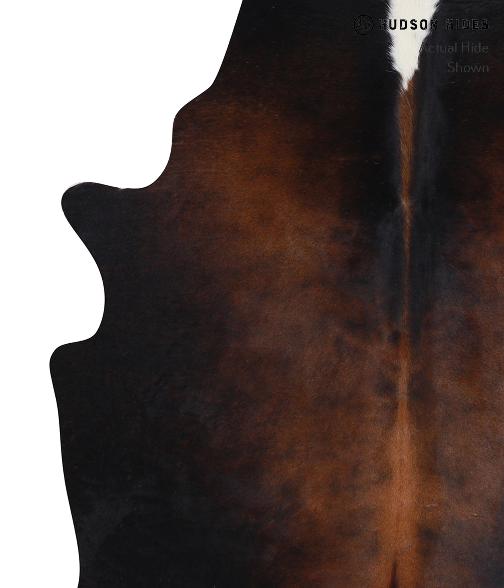 Chocolate and White Cowhide Rug #A7015