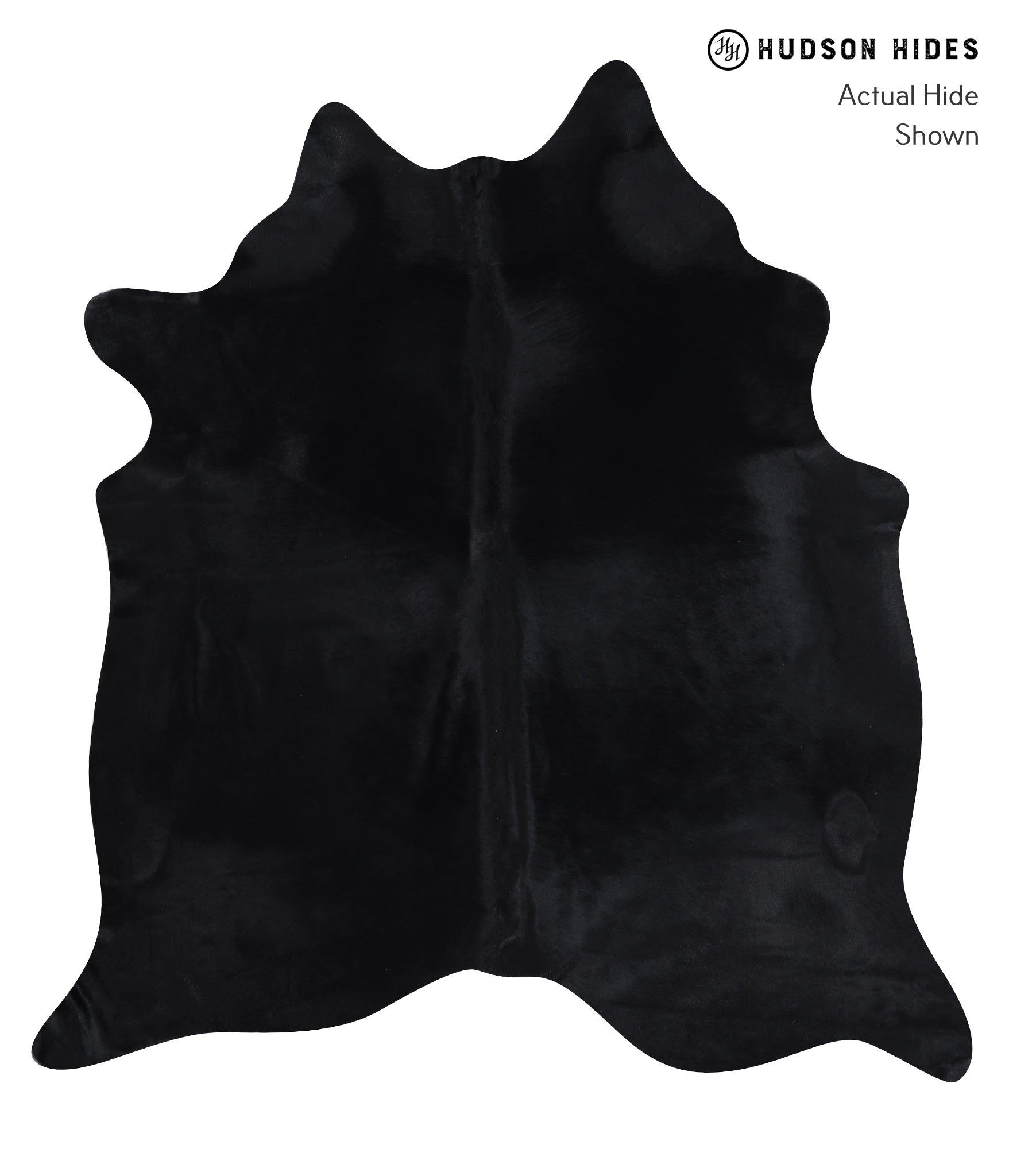 Dyed Cowhide Rug #A7171