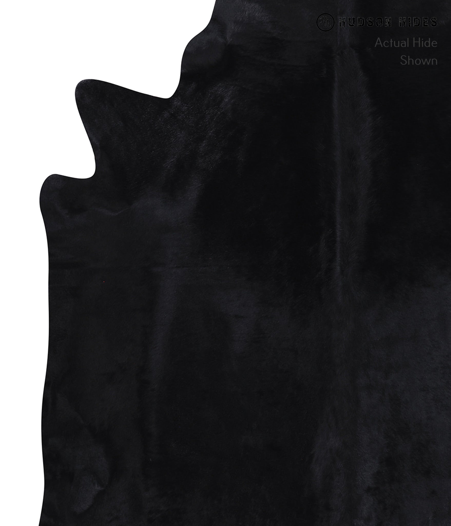 Dyed Cowhide Rug #A7172