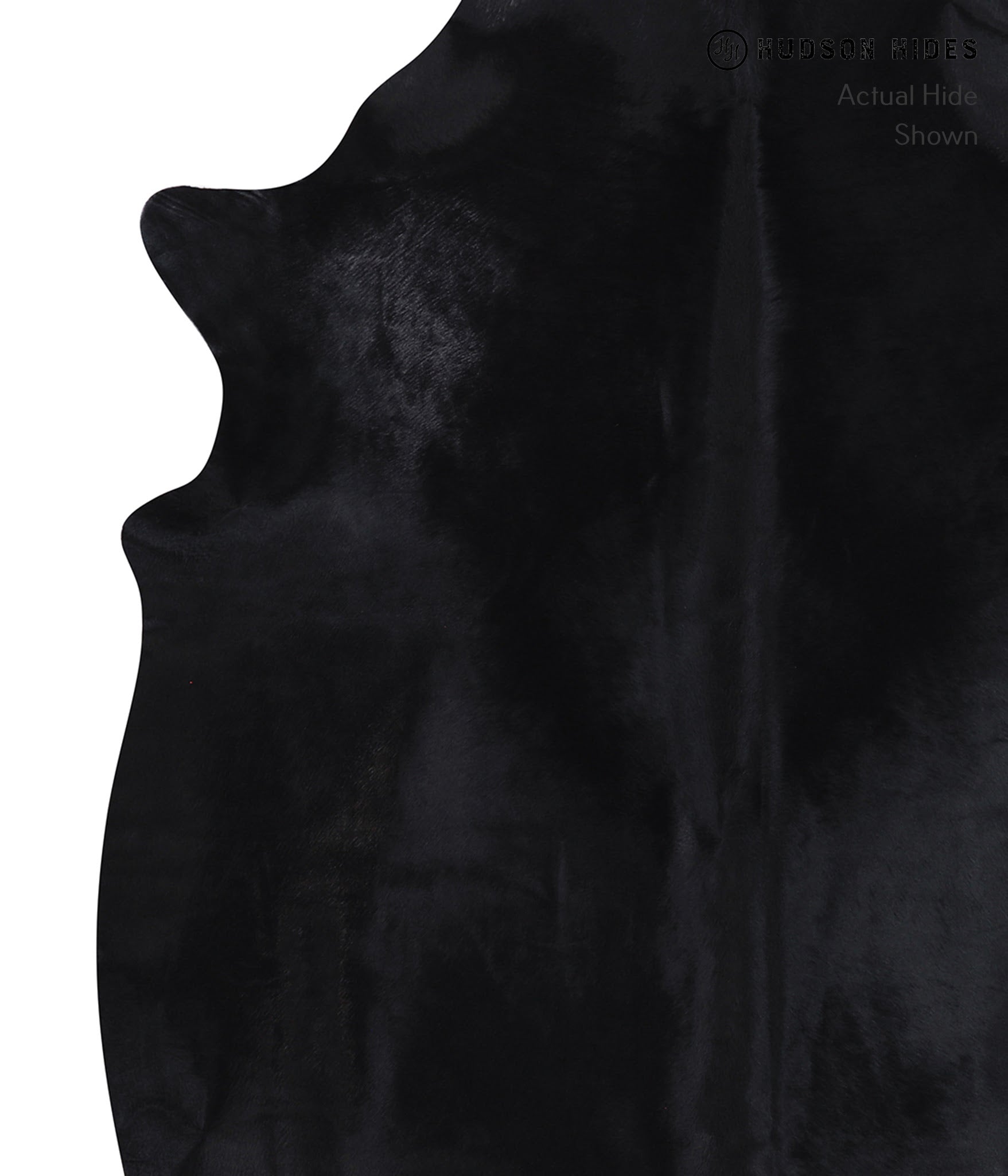 Dyed Cowhide Rug #A7173