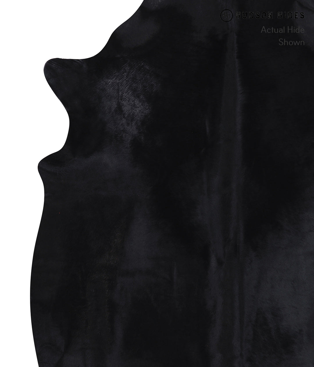 Dyed X-Large Brazilian Cowhide Rug 7'6"H x 6'2"W #A7173 by Hudson Hide