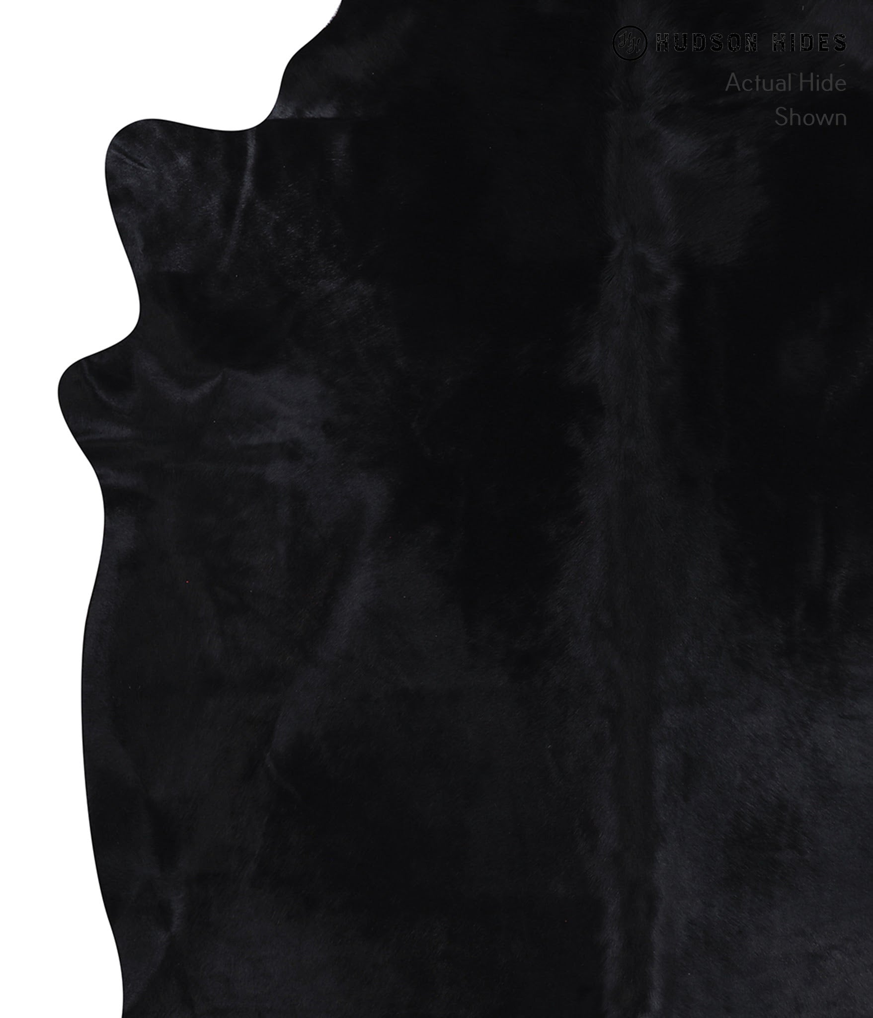 Dyed Cowhide Rug #A7297